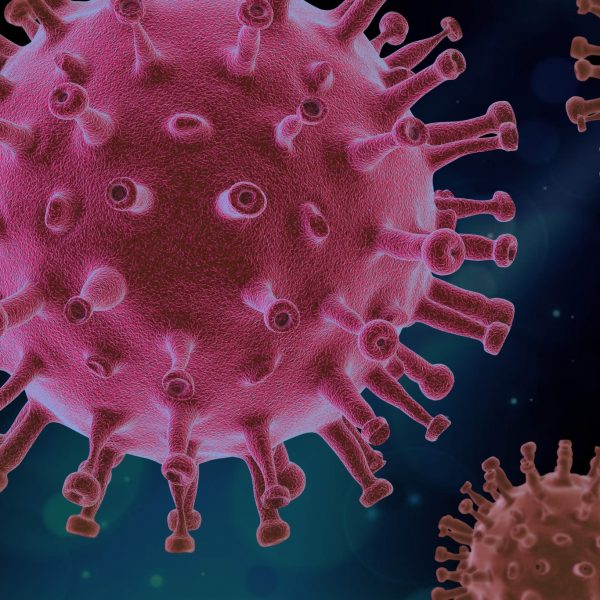 virus-4937553 virus-4937553